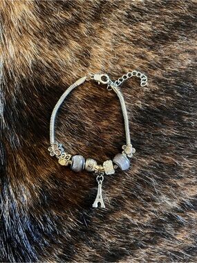 Silver Paris Charm Bracelet